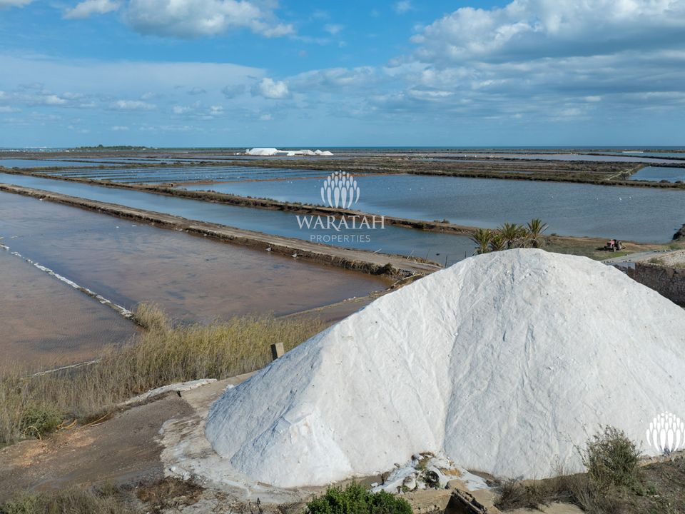 Farm i Tavira, Faro - foto 4